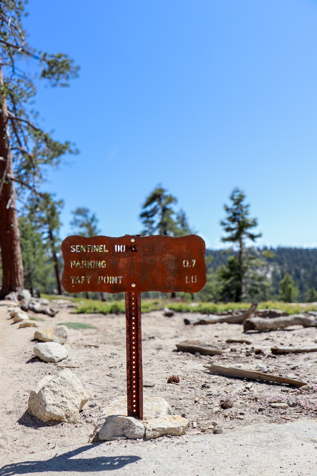 Photo by Harris Campbell